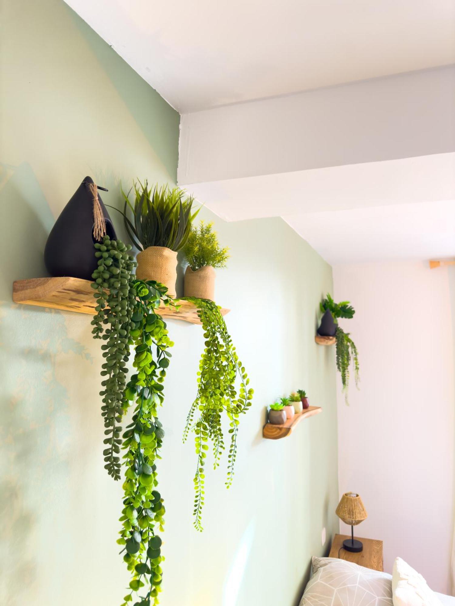 Le Patio ※ Carnot Apartment Carcassonne Exterior photo